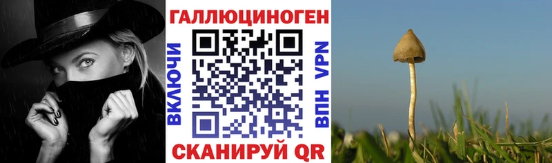 Псилоцибиновые грибы Magic Shrooms  mega сайт  Благовещенск 