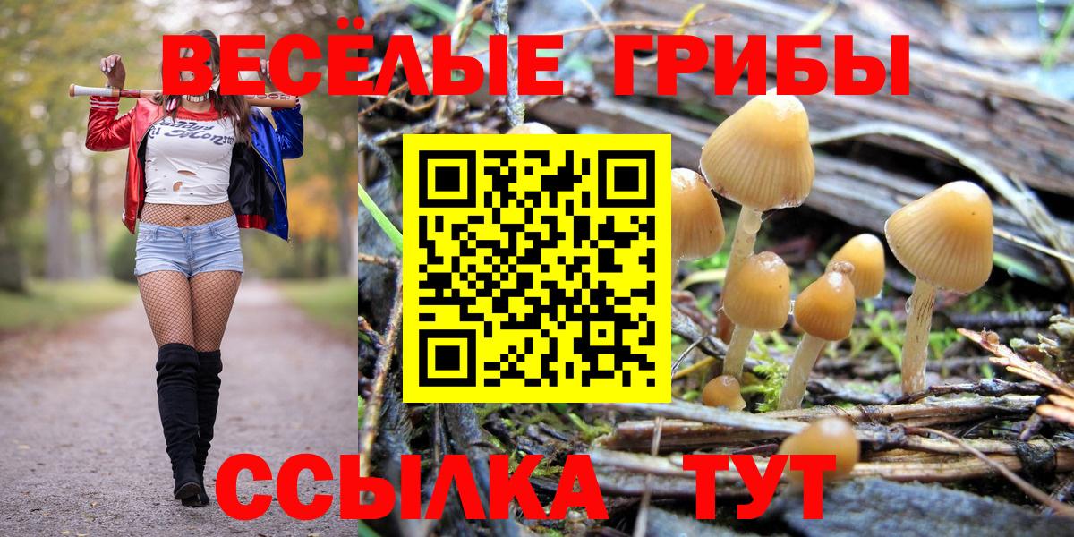 Галлюциногенные грибы Magic Shrooms Благовещенск